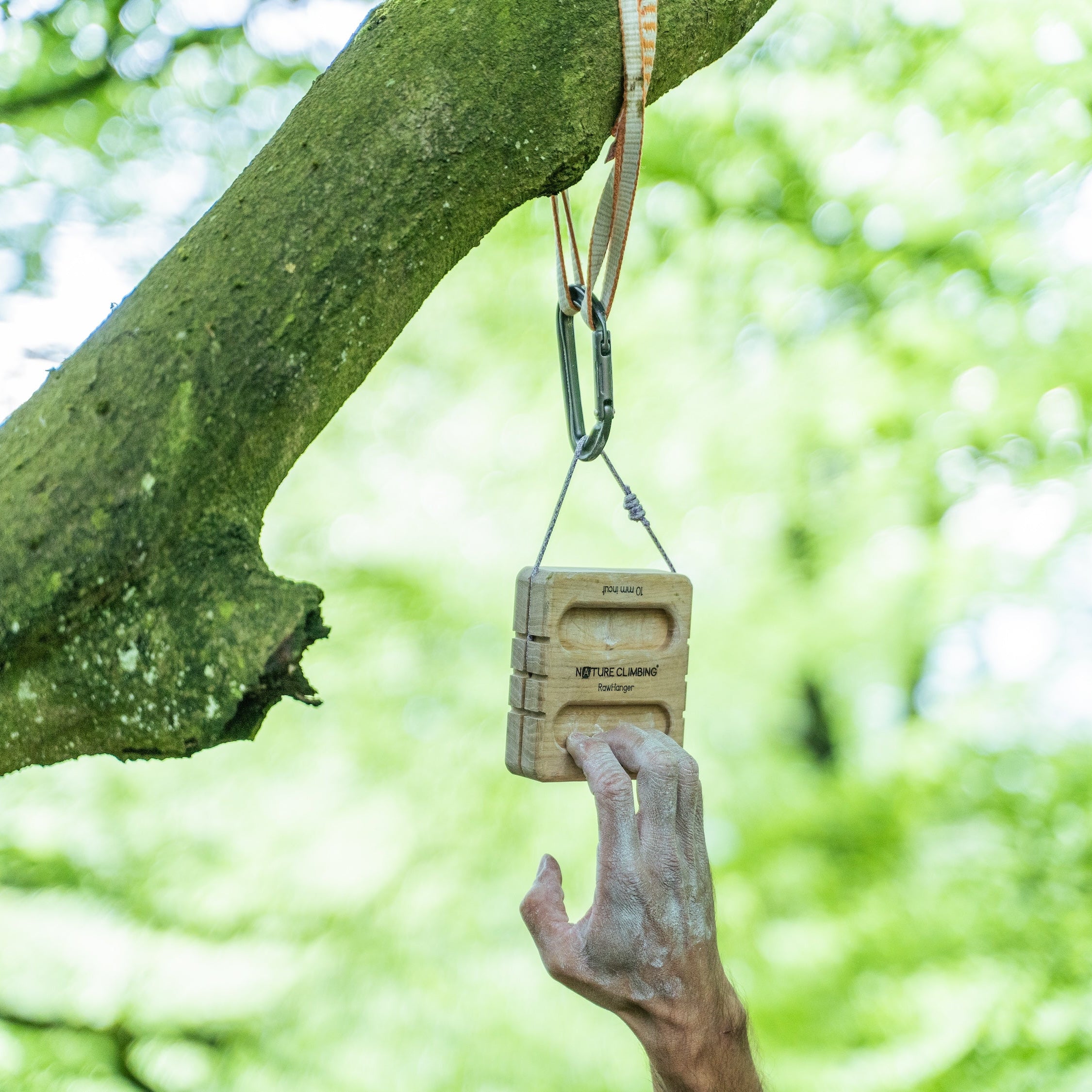 Nature Climbing Raw Hanger poutre escalade chêne portable