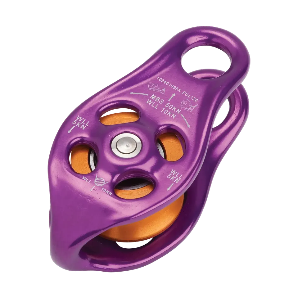 DMM Pinto Rig poulie violette corde 14mm