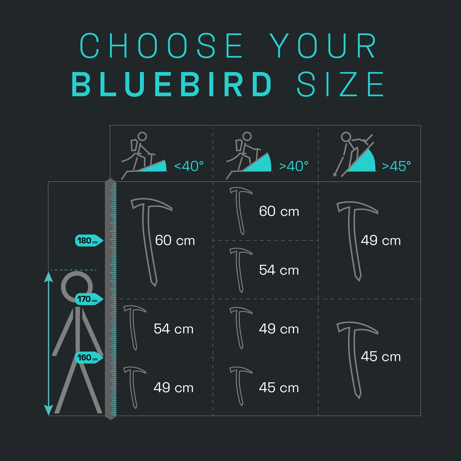 Blue Ice Bluebird piolet alpinisme 49 cm