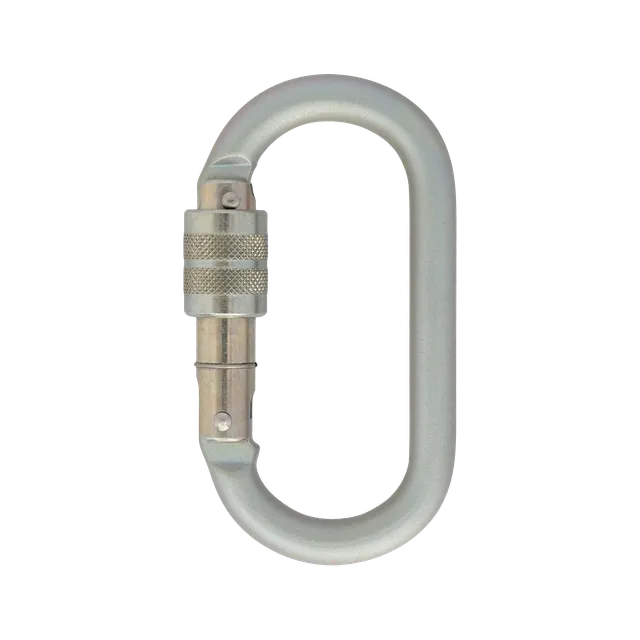 DMM Oval mousqueton acier 10 mm Screwgate symétrique