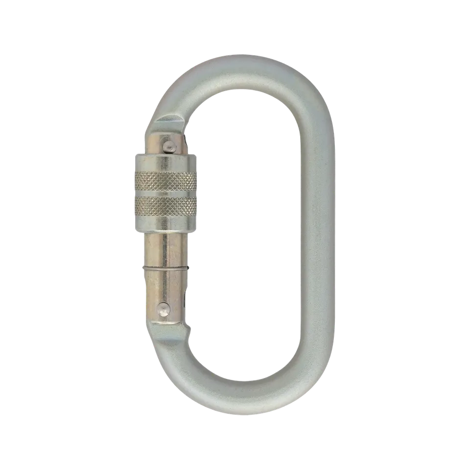 DMM Oval mousqueton acier 10 mm Screwgate symétrique