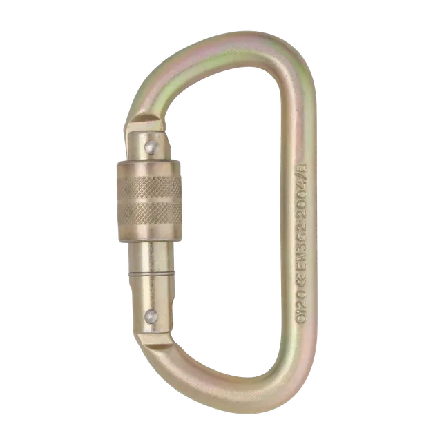 DMM Equal D mousqueton acier 10 mm Standard Screwgate