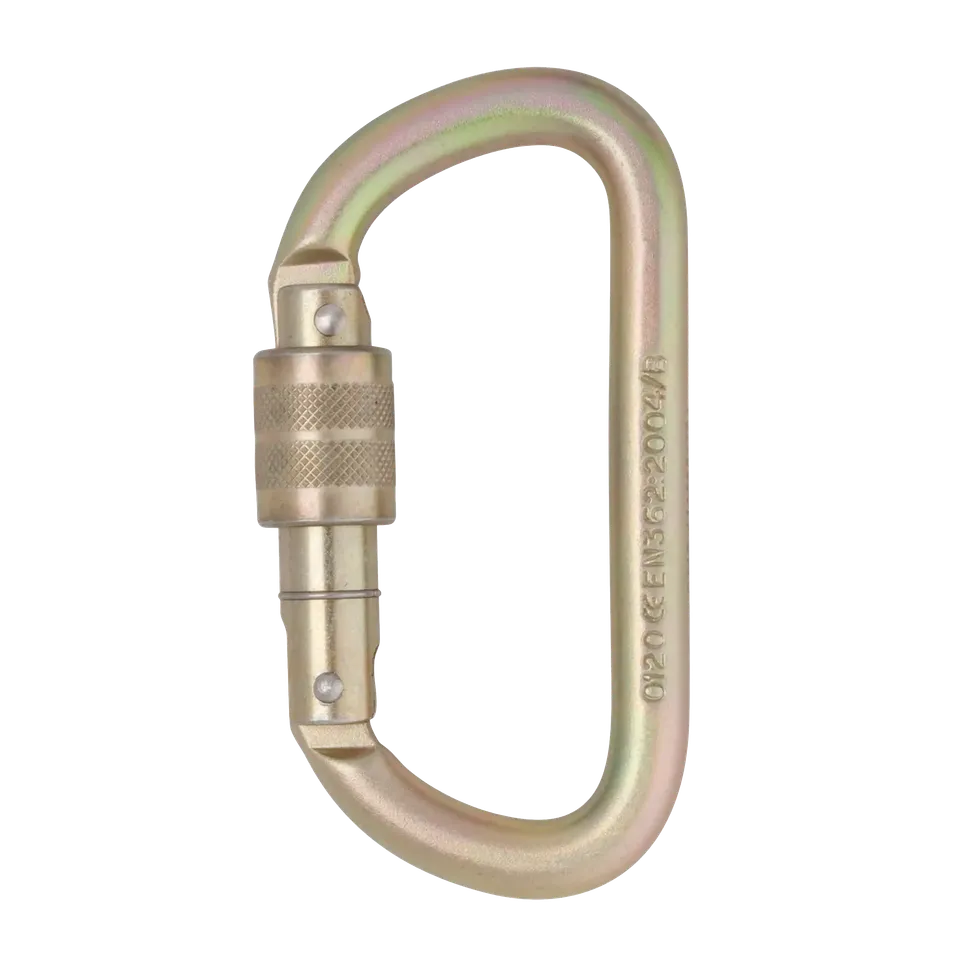 DMM Equal D mousqueton acier 10 mm Standard Screwgate
