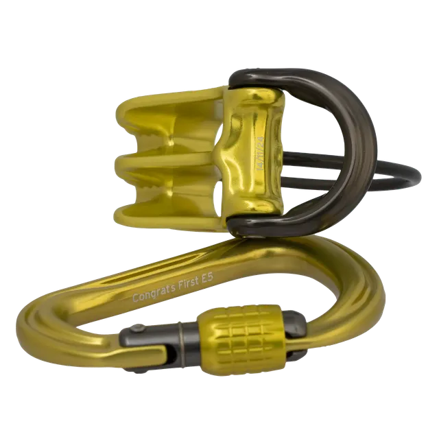 DMM Pivot Phantom HMS Set assureur lime gravé