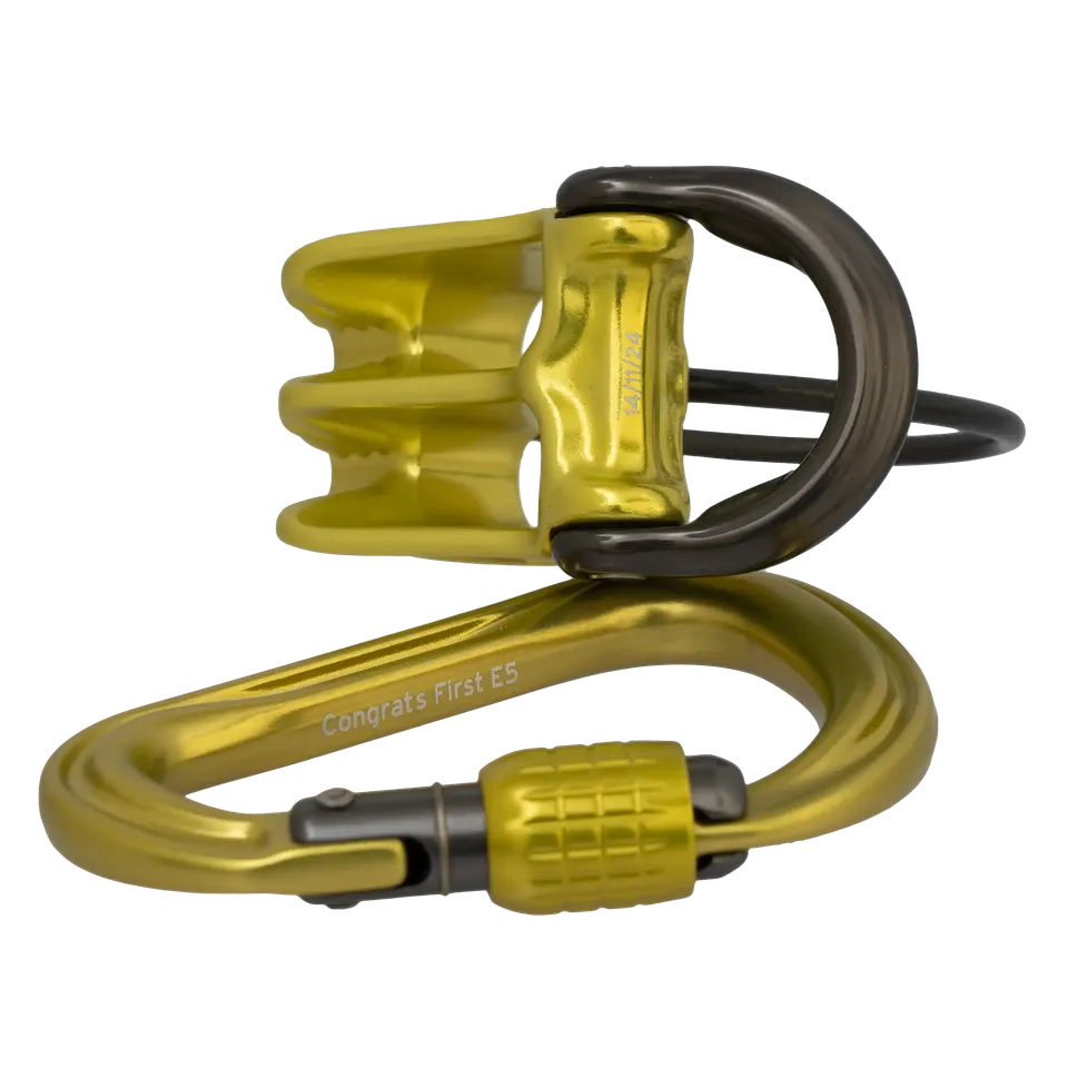 DMM Pivot Phantom HMS Set assureur lime gravé