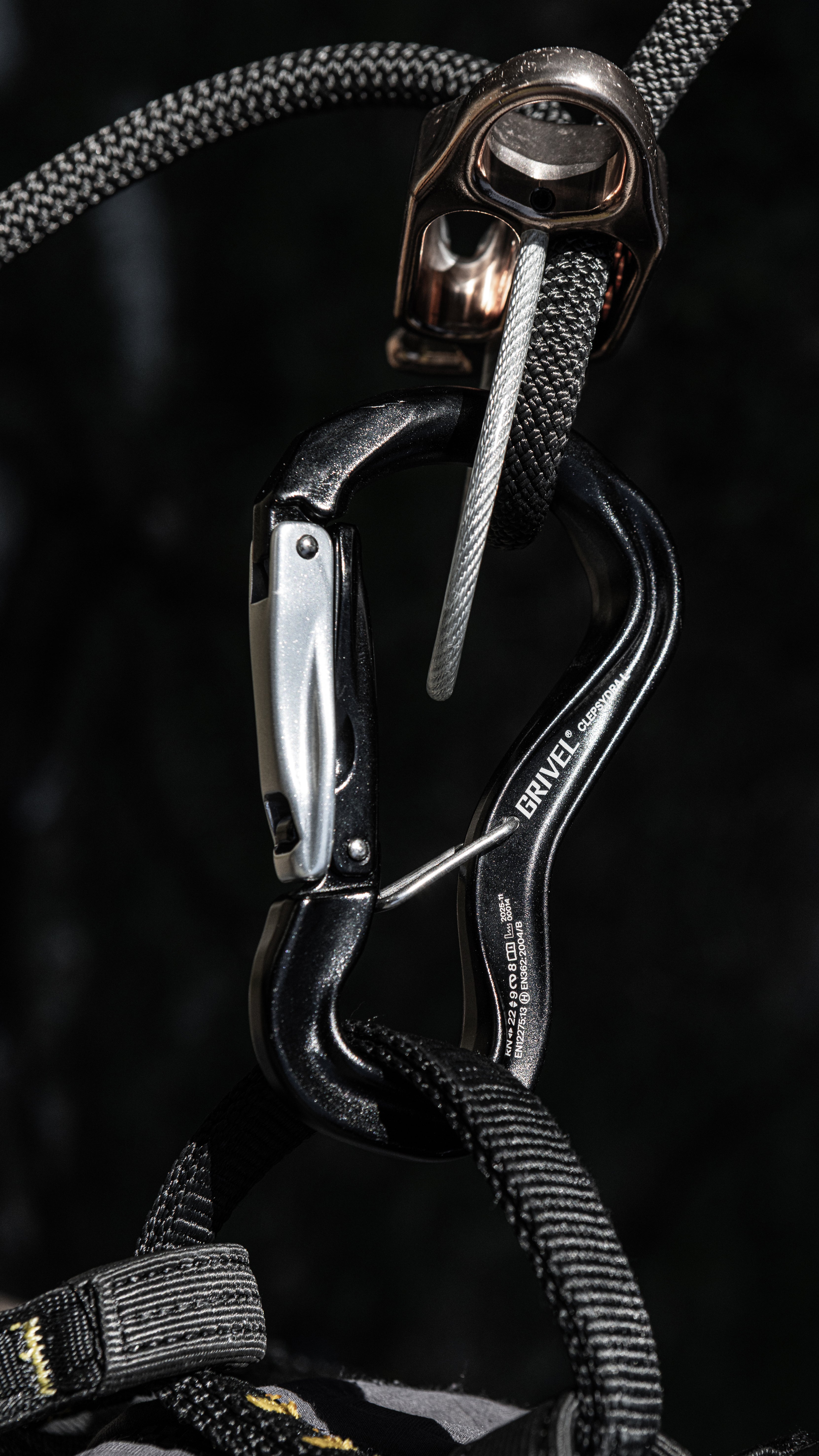 Grivel Clepsydra L K10G mousqueton Twin-Gate alu