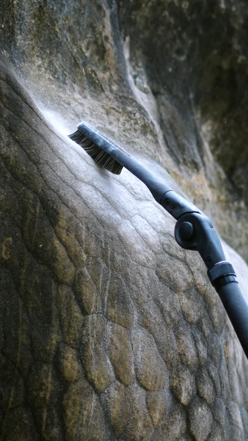 Nature Climbing Stick Brush brosse escalade tête rechange