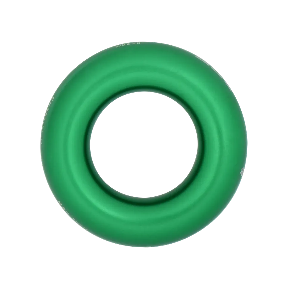 DMM Anchor Rings anneau ancrage escalade 26 mm vert
