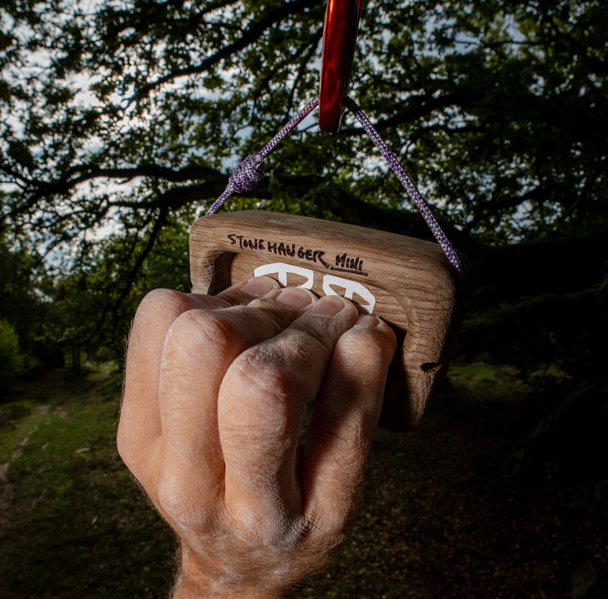 Nature Climbing Stone Hanger Mini poutre chêne fumé