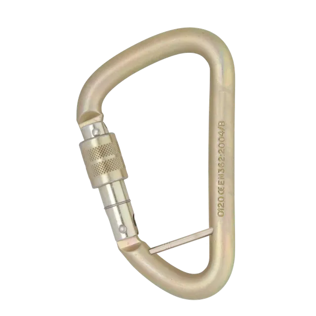 DMM 12mm Steel Klettersteig mousqueton via ferrata vis