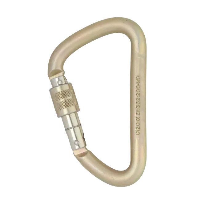 DMM Klettersteig 12mm Steel mousqueton à vis standard